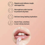 COSRX BALANCIUM CERAMIDE LIP BUTTER SLEEPING MASK 20g - Image 3