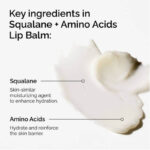 THE ORDINARY SQUALANE + AMINO ACIDS LIP BALM - 15ML - Image 4